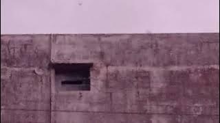 Download lagu sp peribadi berkelas sp king birahi lotara