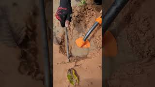 A Secret Trapdoor In The Forest Floor??