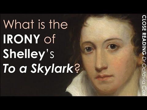 Percy Bysshe Shelley TO A SKYLARK poem | ANALYSIS, SUMMARY, LINE BY LINE | Romanticism Literature