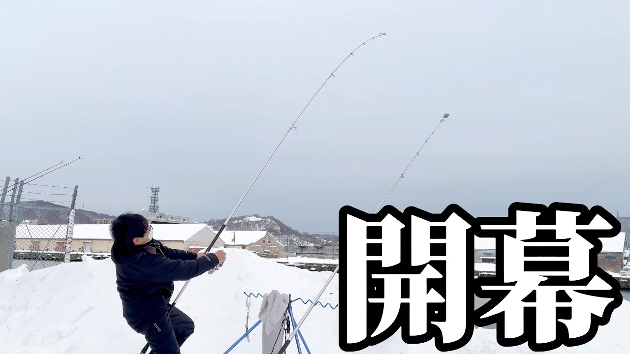 【北海道】【釣り】超人気漁港に奴らがやってきた