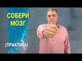 Собери мозг! Балансировка полушарий мозга