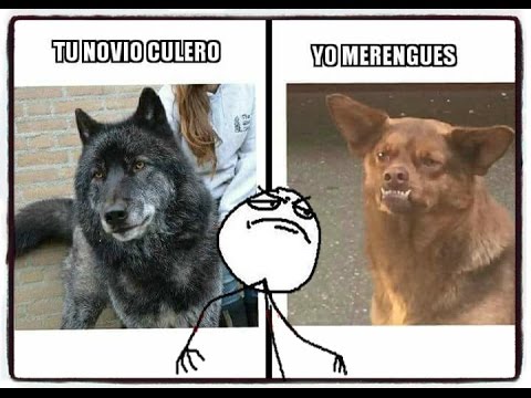 los mejores memes del chilaquil youtube hqdefault los mejores memes del chilaquil youtube