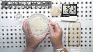 Celebrity High Touch - Bacteria Testing Profile