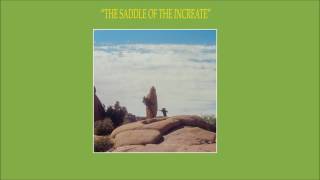 Sun Araw - The Saddle Of The Increate