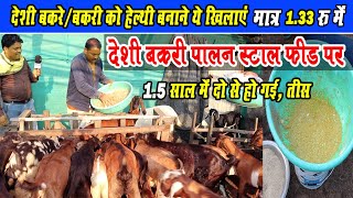 देशी बकरे और बकरी को हेल्थी बनाने क्या खिलाएं? Deshi Bakre/ Bakri Ko Healthy Banane kya khilanyen