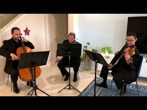 Sunset Strings' string trio performs I Don't Want to Miss a Thing