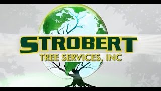Tree Services West Chester Pa - 610-364-5116 - Strobert Tree Services
