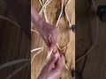 How to start a raffia basket using a magic circle, woven by hand basket starter tutorial
