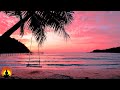 🔴 Relaxing Sleep Music 24/7, Sleep Meditation, Calming Music, Meditation Music, Study Music, Sleep