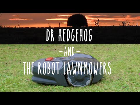 Dr Hedgehog and the Robot Lawnmowers