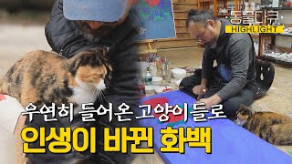 [동물극장 유튜브 오리지널] 고양이를 위해 집을 내줬다?! 고양이 36마리와 사는 털보 집사 l 동물극장 단짝 EP4 l KBS 220211 방송