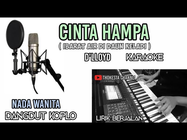 CINTA HAMPA (IBARAT AIR DI DAUN KELADI) KARAOKE KOPLO NADA WANITA -D'LLOYD class=