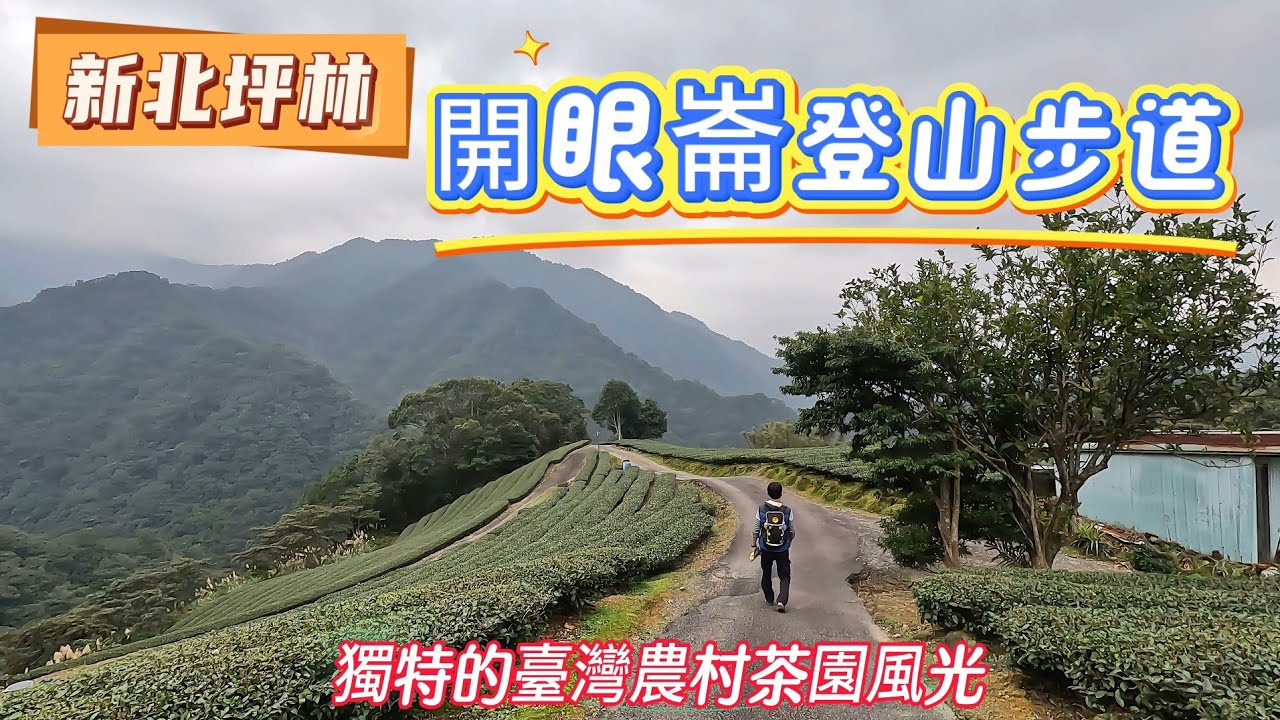 新北坪林 | 開眼崙步道O型 | 一路陡上到山頂 | 開了眼就回不去的絕美山景 | 獨特的臺灣農村茶園風光 ~115/1/6