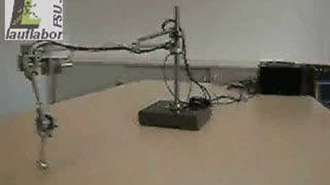 Two-Segment Leg Monopod (BioLeg 1)