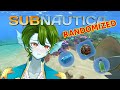 the finale??? - Subnautica Randomizer stream VOD part 4