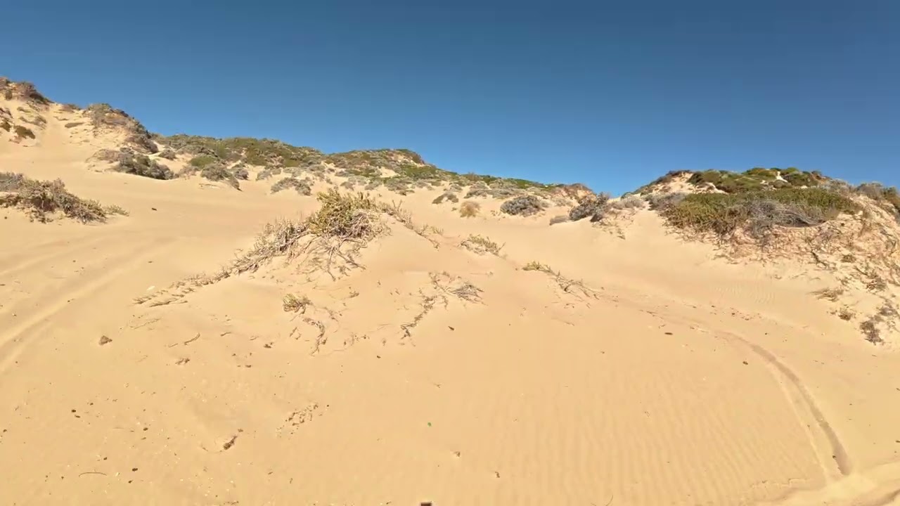 Chasing tracks at whitehills beach 