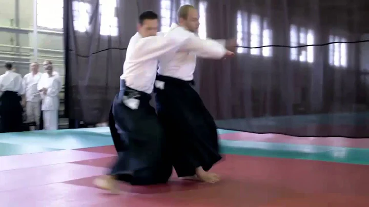 AIKIDO - Karl Ruben and Gergely Csk