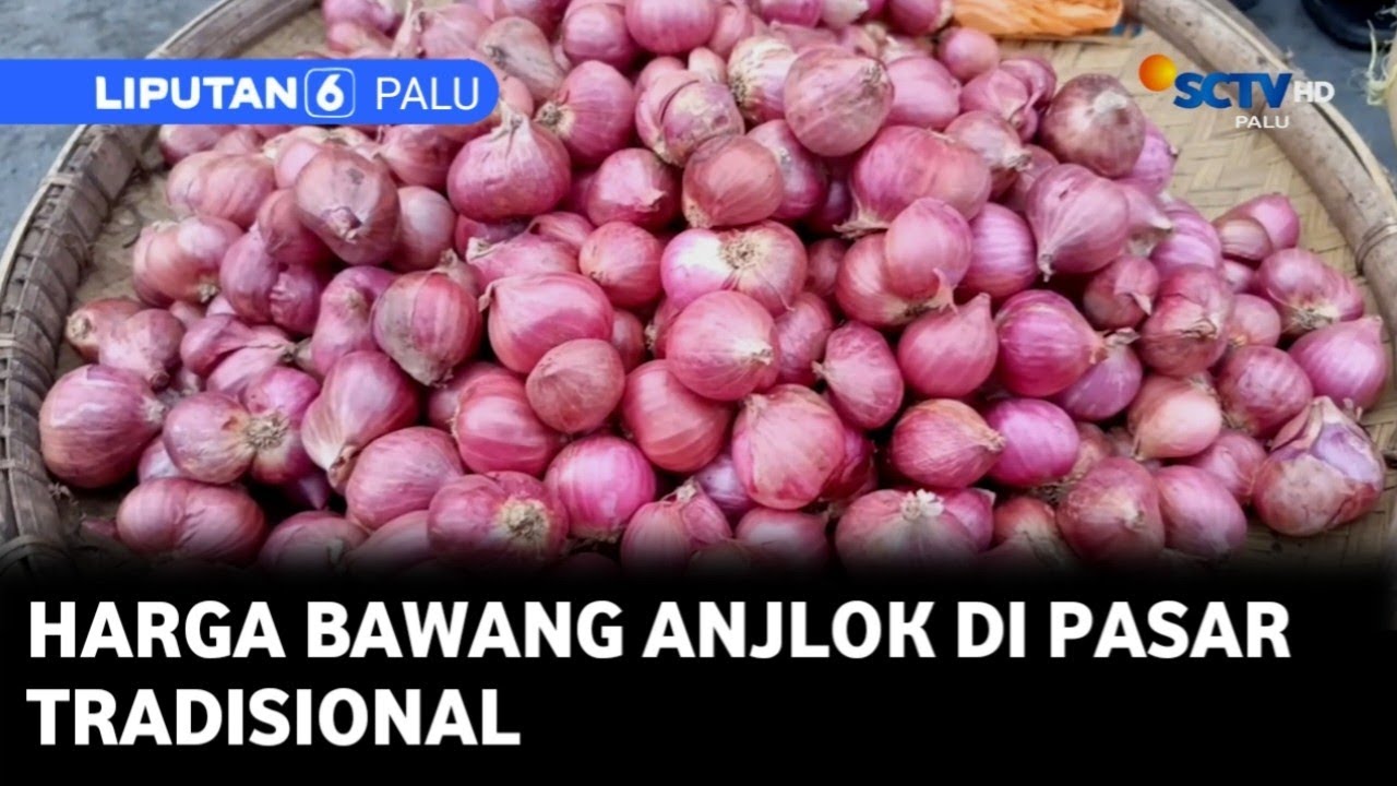 Berita Palu 12 September 2025 Segmen 2