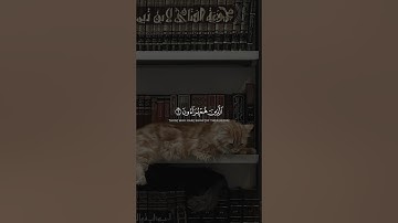تلاوة خاشعة 🍀🤍 عبد الرحمن مسعد #القرآن_الكريم #اكسبلور  #تلاوة_خاشعة #عبدالرحمن_مسعد