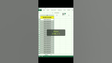 Excel Tips and Tricks |  Add +91 Before mobile number using custom Formatting Trick  |