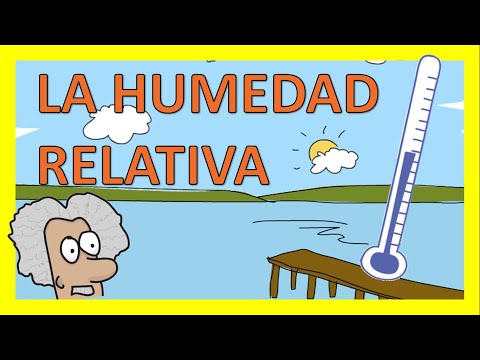 Video: ¡La humedad es un indicador importante