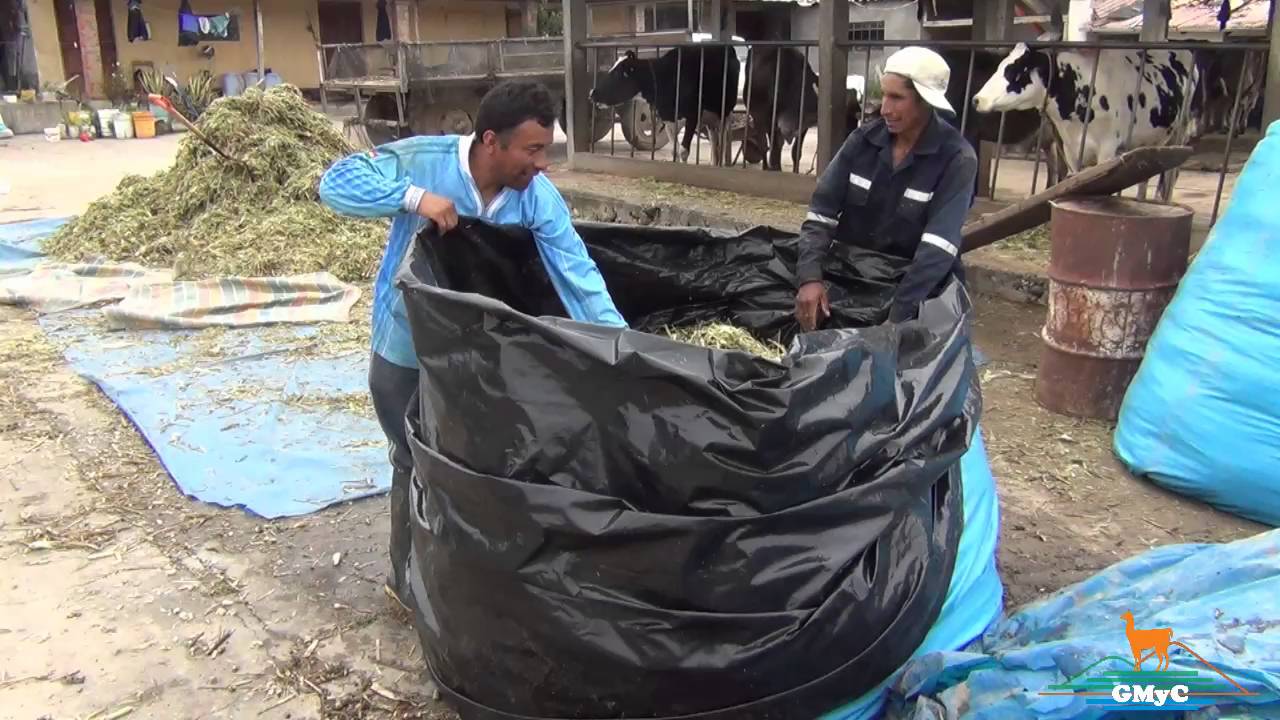 Ensilaje de Forrajes, Tipo Bolsa.