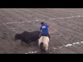 Disputa de Vaquejada só cavalos craques