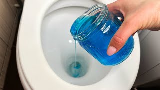 POWERFUL WAY! Cleaning the toilet! Works like magic!
