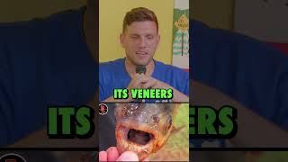 Fish with Human TEETH @NoPreshNetwork