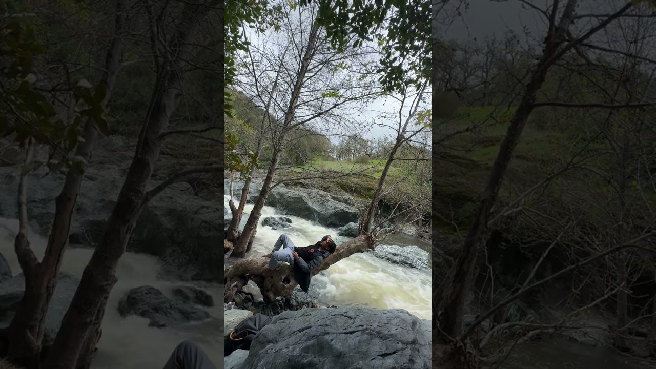 005 — The Language of Stillness 