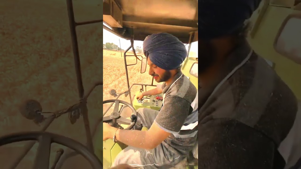 very beautiful✨✨✨ wheat🌾🌾🌾 harvesting Punjab