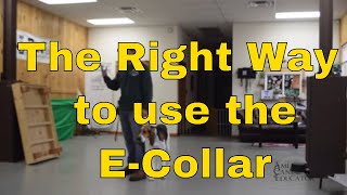 How to use Ecollar Training the right way   Dog Training with America's Canine Educator