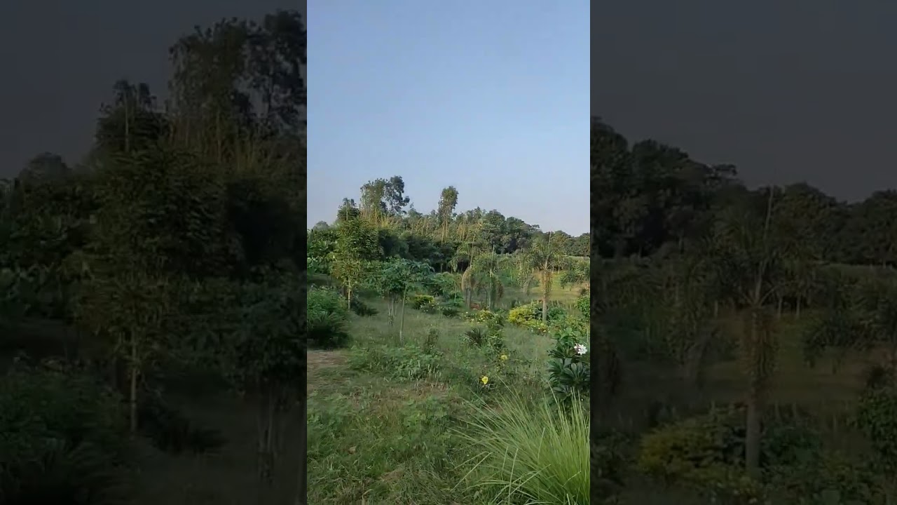 malda eco tourism park