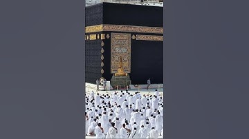 لقد جاءكم رسول من أنفسكم - تأثر وبكاء الشيخ || تلاوة خاشعة ومؤثرةخالد الغامديتأخذك لعالم آخر #allah