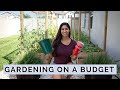 11 Creative Ways to GARDEN on a Budget | Low Budget Vegetable Gardening