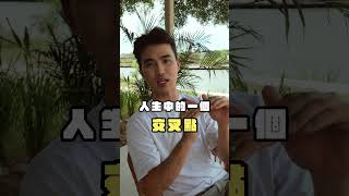 別再為你的感情傷心了