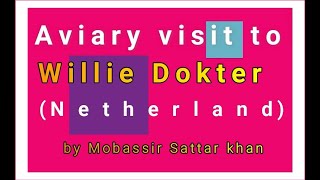 Aviary Visit to Willie Dokter (Netherland) By Mobassir Sattar by Parrots Hobby & Tourism  2,736 views 3 years ago 33 minutes