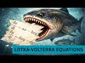 Lotka Volterra EQUATIONS - The Mathematics of ECOSYSTEMS