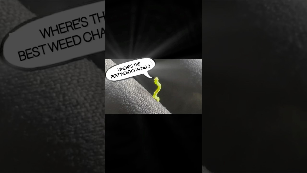 Worm Knows Best 🪱 🔥 