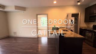 One-Bedroom Cattail