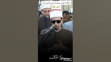 #سورة الفجر #تلميذ الأزهر 🤍💚