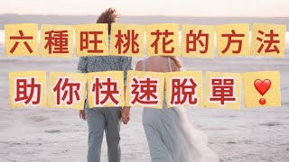 【靜修善緣】快速旺桃花的六種方法，助你顺利脱单！