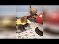 ふわふわの魔法に、今日も助けられた。
