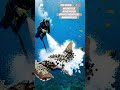 Fish Rescue 🐟💧 #FishRescue #SaveTheFish #ProtectAquaticLife #MarineRescue