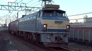 JR貨物 EF66-24 貨物列車 (遅れ8090レ EF66 0番台) あおなみ線 小本駅