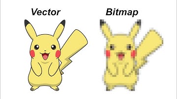 The difference between vector and bitmap images