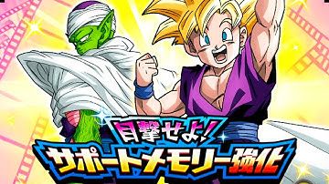 ALL MISSIONS DONE! STAGE 1! CURIOUS DESTINY! BEHOLD! SUPPORT MEMORY BOOST! (DBZ: Dokkan Battle)