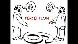 Perspective and perception: Part 1