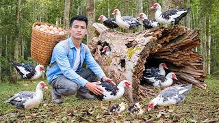 Catching Muscovy Ducks in a Tree Stump & Go to Market Sell, Cooking for My Dog | Nature Therapy screenshot 2