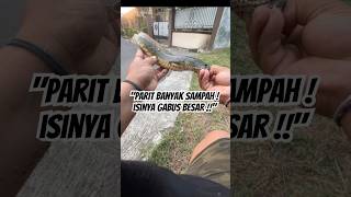 "Micro Casting" This snake head fish hit my tiny soft frog agresively #fishing #mancing #shorts#fyp